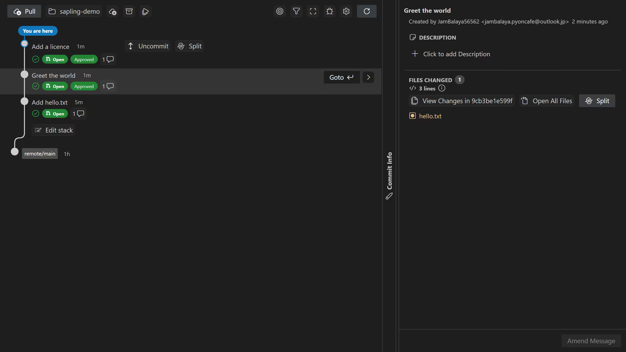 ISL with the middle commit selected: the row is highlighted with a Goto button, and the right pane shows the changed file hello.txt with a View Changes button